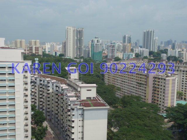 Oleander Towers (D12), Apartment #133151362